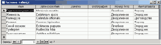   Microsoft Access 2003
