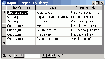   Microsoft Access 2003
