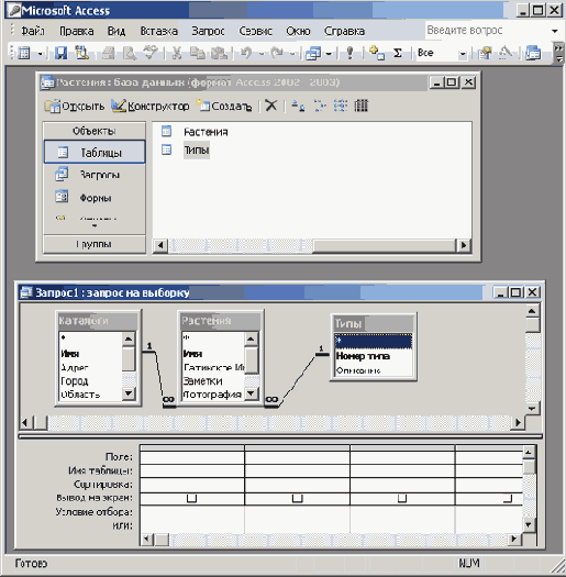   Microsoft Access 2003
