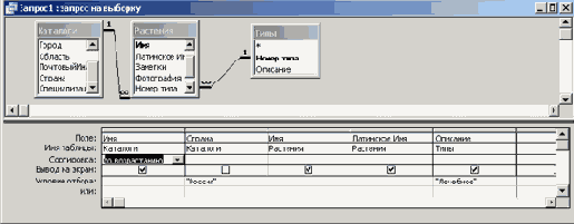   Microsoft Access 2003

