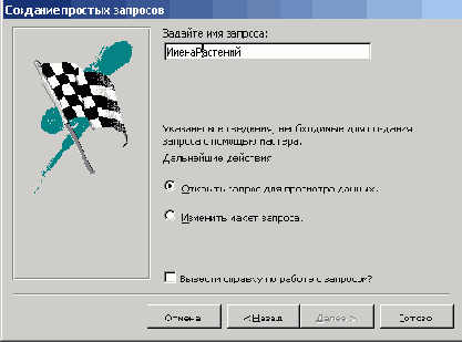   Microsoft Access 2003
