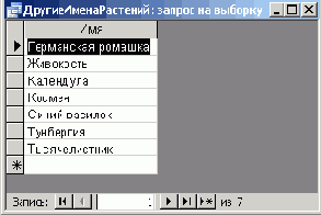   Microsoft Access 2003
