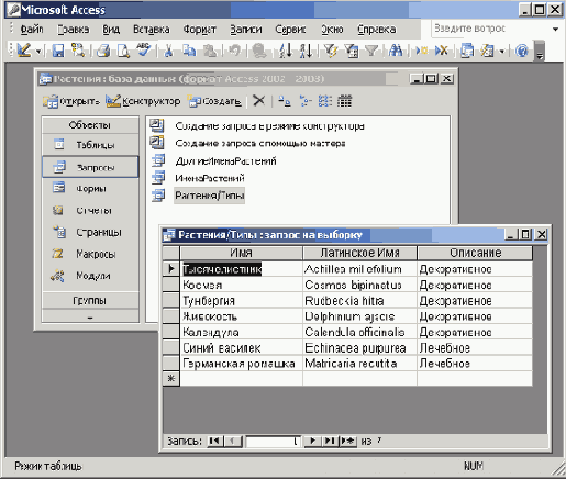   Microsoft Access 2003
