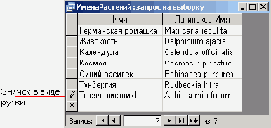   Microsoft Access 2003
