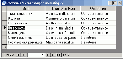  Microsoft Access 2003
