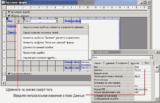   Microsoft Access 2003

