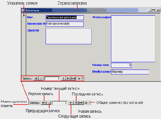   Microsoft Access 2003

