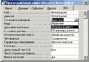   Microsoft Access 2003

