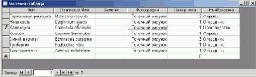   Microsoft Access 2003
