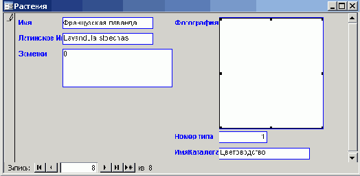   Microsoft Access 2003
