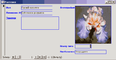   Microsoft Access 2003
