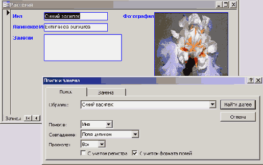   Microsoft Access 2003
