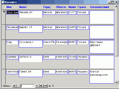   Microsoft Access 2003
