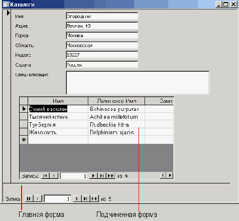   Microsoft Access 2003
