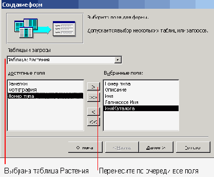   Microsoft Access 2003
