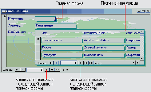   Microsoft Access 2003
