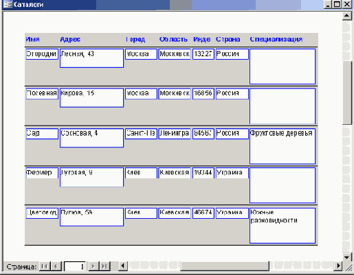   Microsoft Access 2003
