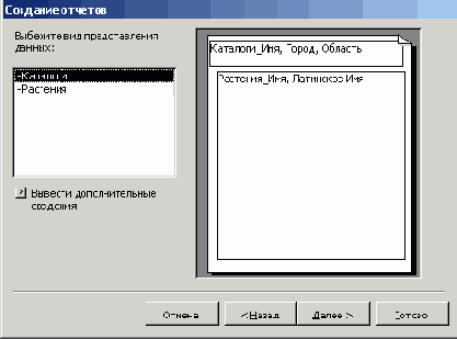  Microsoft Access 2003
