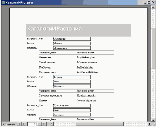   Microsoft Access 2003
