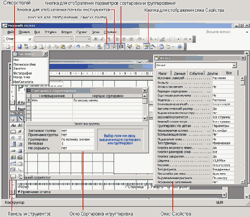   Microsoft Access 2003
