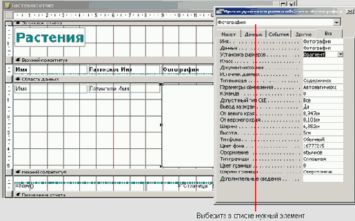   Microsoft Access 2003

