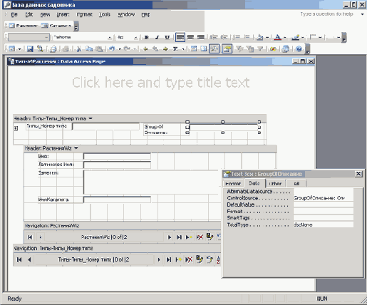   Microsoft Access 2003

