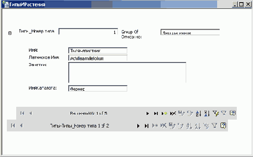   Microsoft Access 2003
