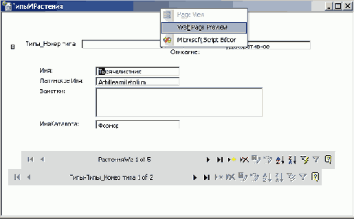   Microsoft Access 2003
