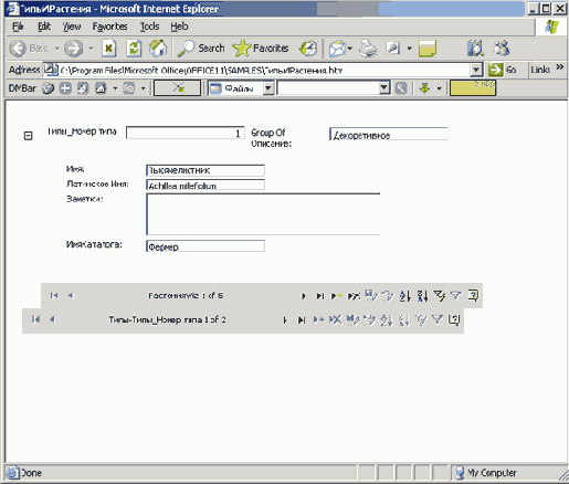   Microsoft Access 2003
