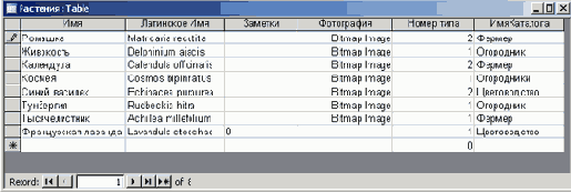   Microsoft Access 2003
