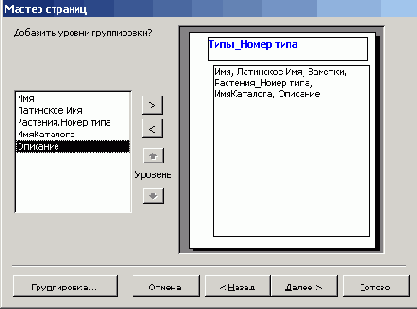   Microsoft Access 2003
