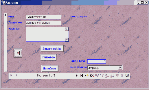   Microsoft Access 2003
