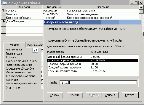   Microsoft Access 2003
