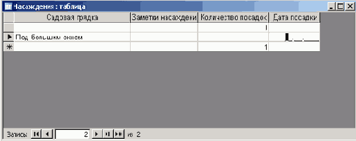   Microsoft Access 2003

