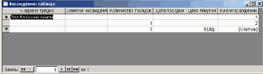   Microsoft Access 2003
