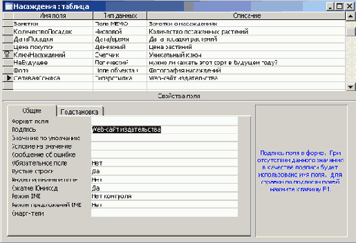   Microsoft Access 2003
