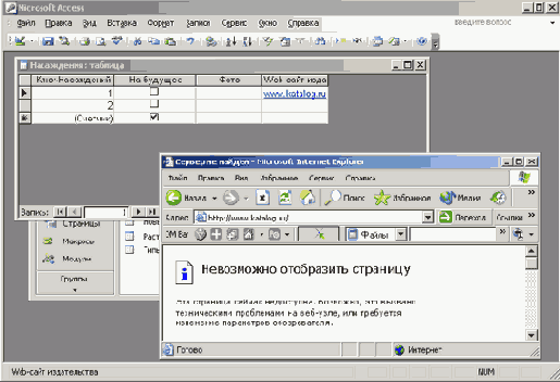   Microsoft Access 2003
