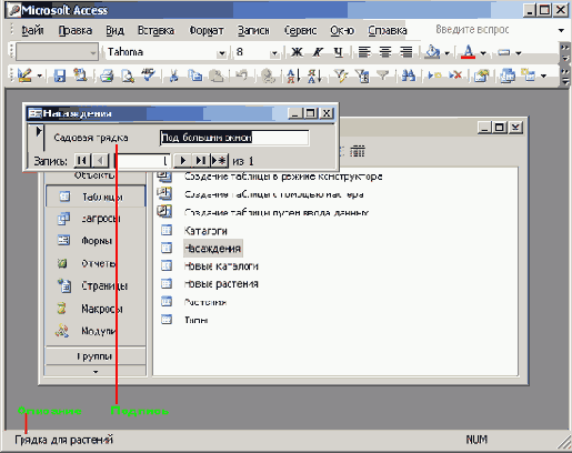   Microsoft Access 2003
