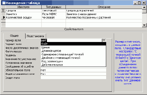   Microsoft Access 2003
