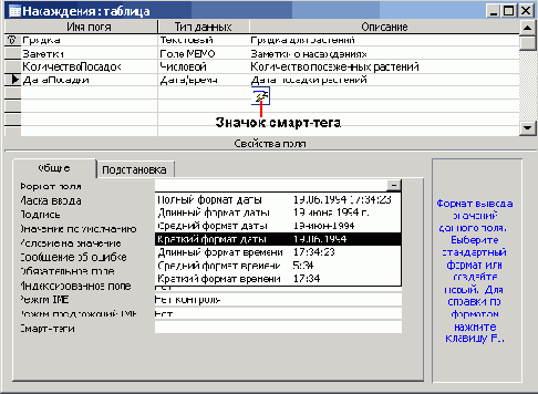   Microsoft Access 2003
