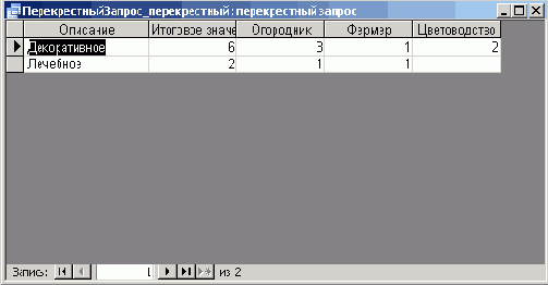  Microsoft Access 2003

