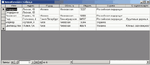   Microsoft Access 2003
