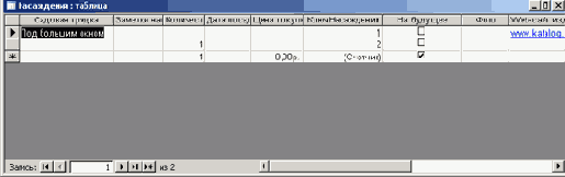   Microsoft Access 2003
