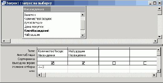   Microsoft Access 2003
