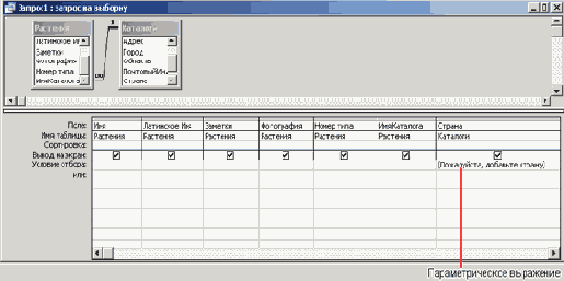   Microsoft Access 2003
