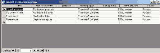   Microsoft Access 2003
