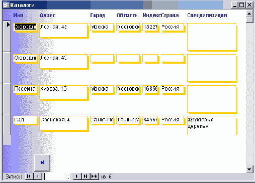   Microsoft Access 2003
