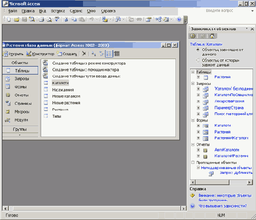   Microsoft Access 2003
