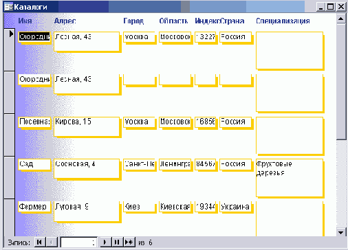   Microsoft Access 2003
