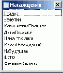   Microsoft Access 2003
